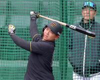 フリー打撃で快音を響かせる嶋村（撮影・立川洋一郎）