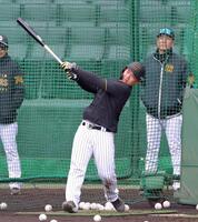 フリー打撃で快音を響かせる嶋村（撮影・立川洋一郎）