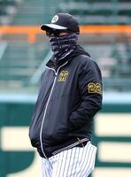 練習を見る藤川監督（撮影・山口登）