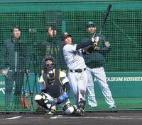 シート打撃の３打席目で左翼へ大飛球を放つ立石（撮影・出月俊成）