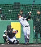 ライブＢＰで左越えに本塁打を放つ立石（撮影・出月俊成）