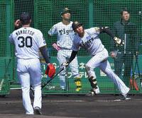 シート打撃の３打席目で門別から左翼へ大飛球を放つ立石（撮影・出月俊成）