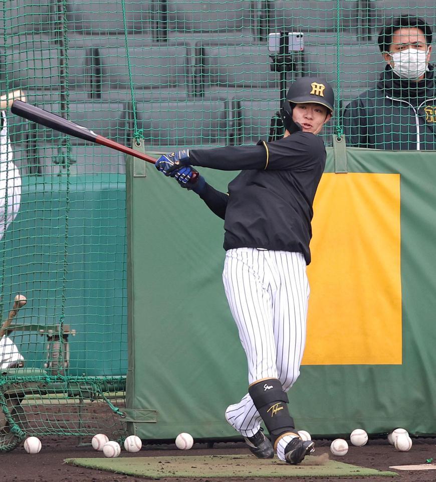 フリー打撃で打ち込む中野（撮影・立川洋一郎）