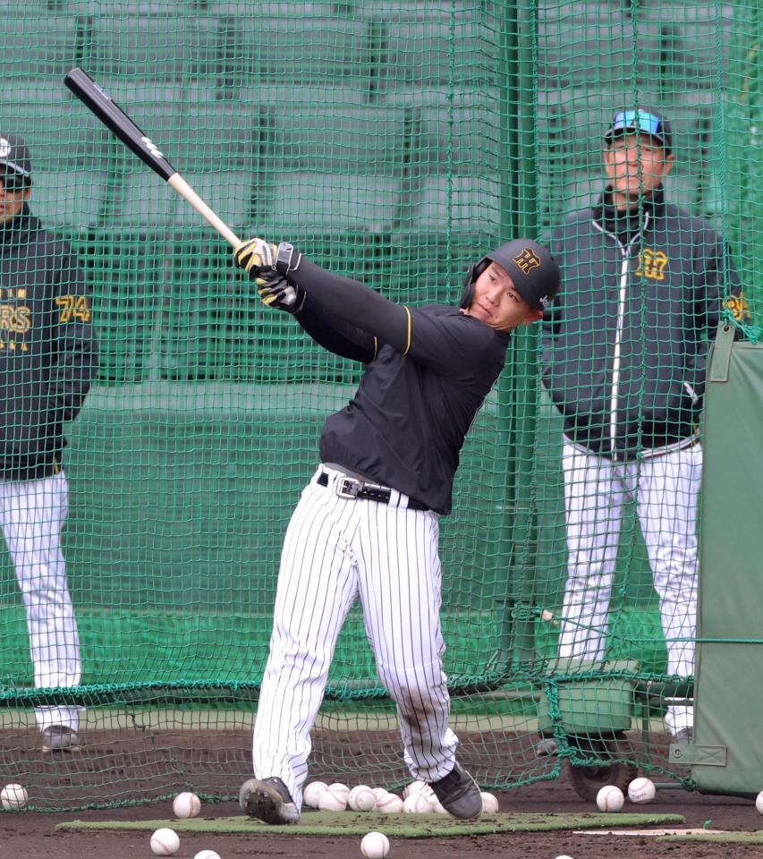 フリー打撃で快音を響かせる嶋村（撮影・立川洋一郎）