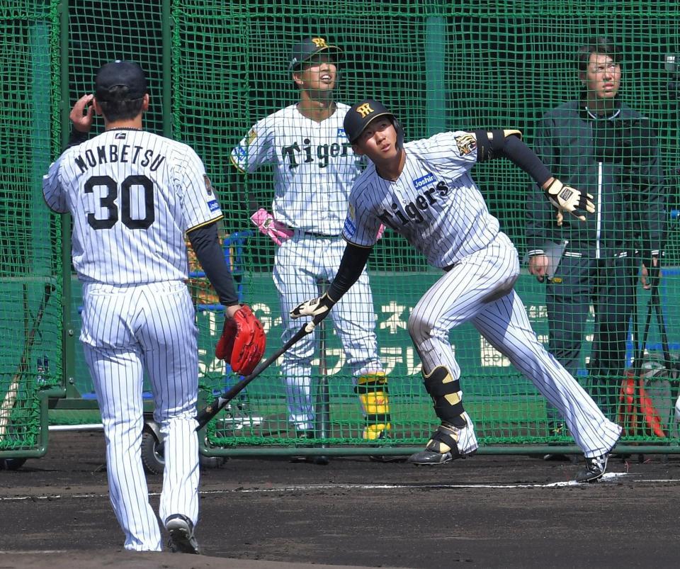 シート打撃の３打席目で門別から左翼へ大飛球を放つ立石（撮影・出月俊成）