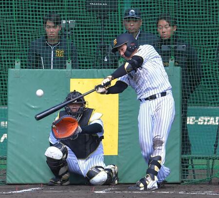 ライブＢＰで中越え弾を放つ立石（撮影・出月俊成）