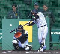 ライブＢＰで中越え弾を放つ立石（撮影・出月俊成）