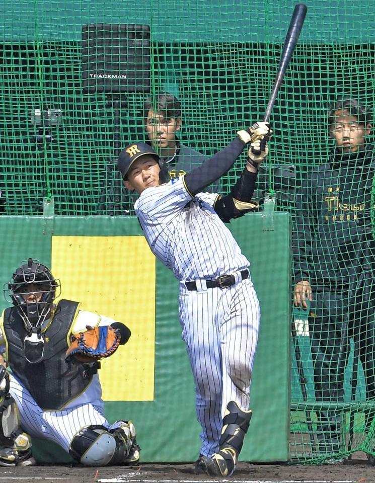 ライブＢＰで左越えに本塁打を放つ立石（撮影・出月俊成）
