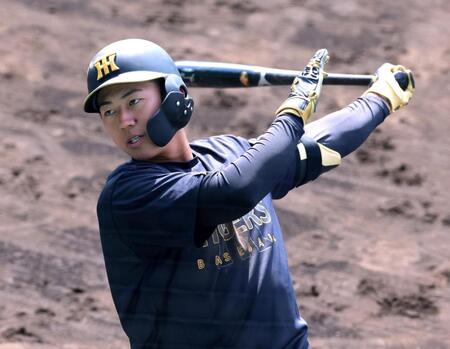 打撃練習する立石（撮影・立川洋一郎）