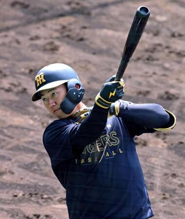 打撃練習する立石（撮影・立川洋一郎）