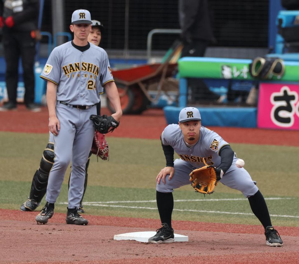 シートノックに加わる佐藤輝（撮影・金田祐二）