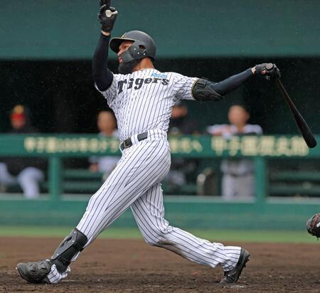 ２回、左翼スタンドへ２ランを放つコンスエグラ（撮影・立川洋一郎）