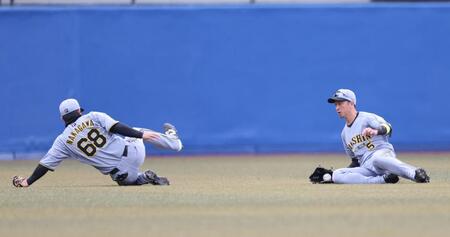 ３回、近本は高部の飛球を好捕する（左は中川）＝撮影・山口登