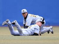 ３回、近本は高部の飛球を好捕する（後方は中川）＝撮影・山口登