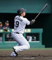 ３回、立石は左越えに本塁打を放つ（撮影・坂部計介）