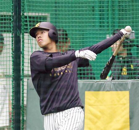 　打撃練習に取り組む岡城（撮影・西田忠信）
