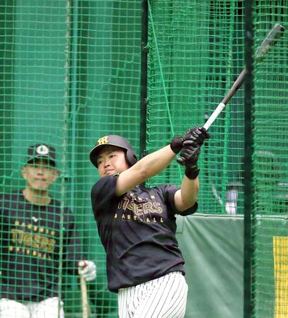 　打撃練習で汗を流す中川（撮影・西田忠信）