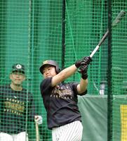　打撃練習で汗を流す中川（撮影・西田忠信）