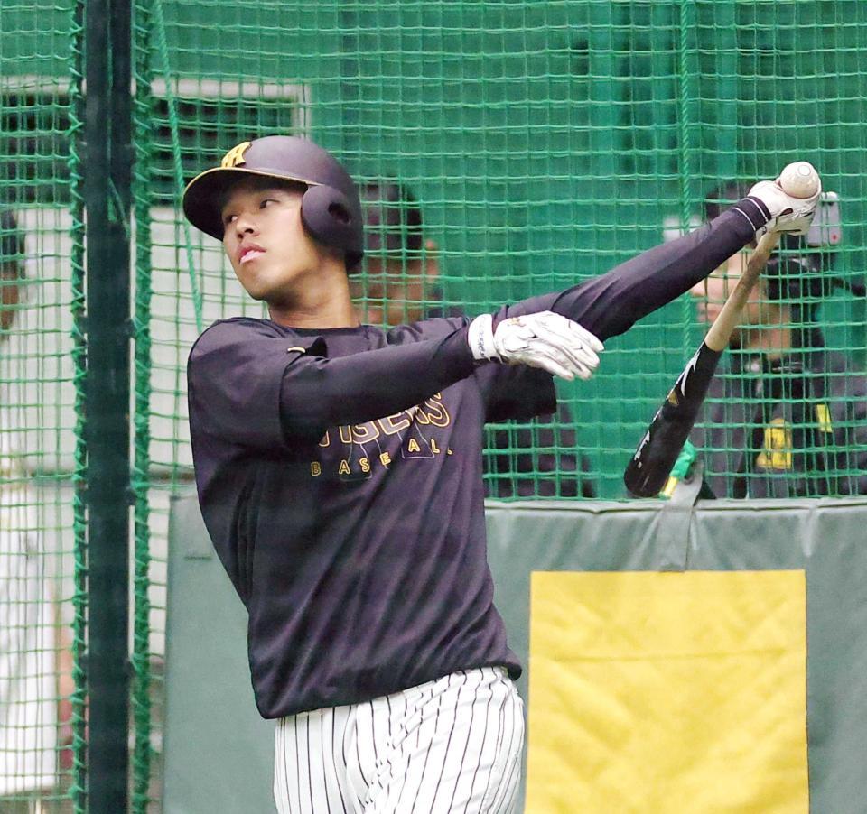 　打撃練習に取り組む岡城（撮影・西田忠信）