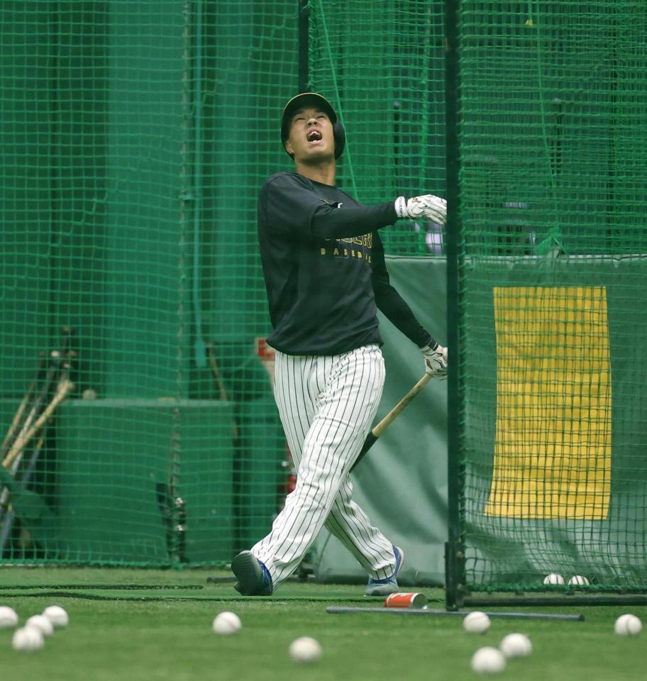 力強くスイングする岡城（撮影・西田忠信）