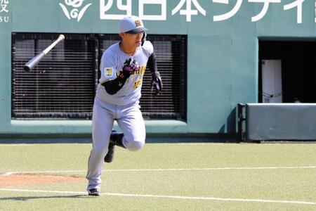 ４回、右前に安打を放つ西純