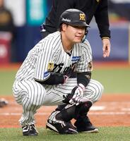 ４回、死球を受けしゃがみ込む大山（撮影・西田忠信）