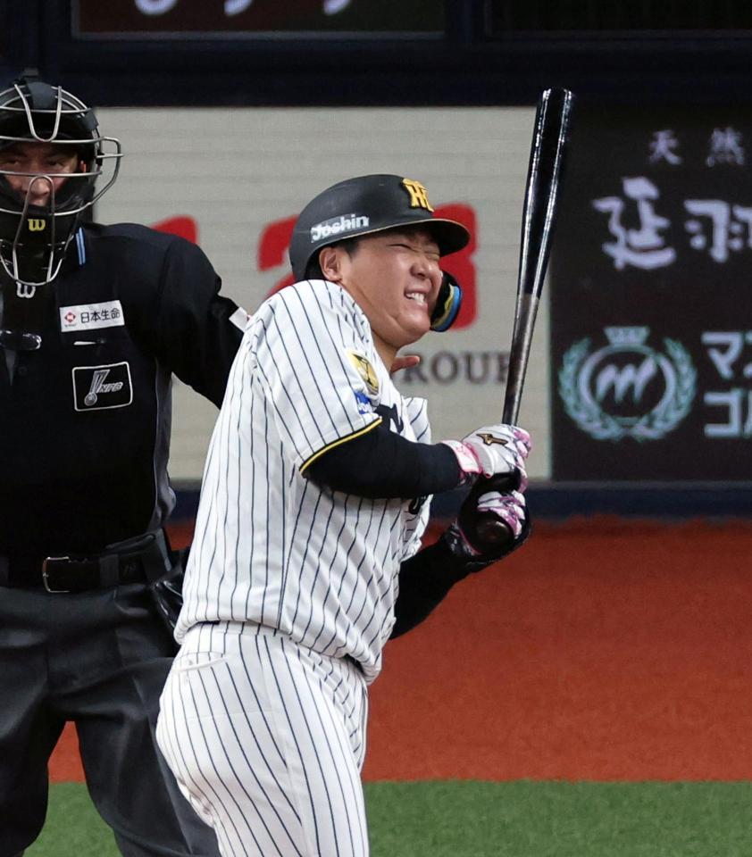 ４回、死球を受ける大山（撮影・山口登）