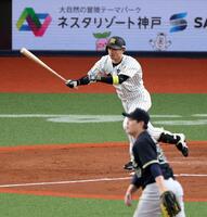 ３回、右越えに二塁打を放つ近本（投手・九里）＝撮影・山口登