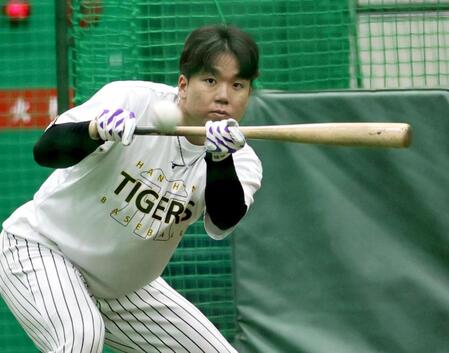 バント練習をする村上（撮影・田中太一）