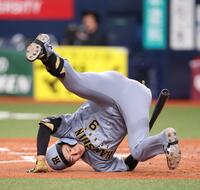 ４回、内角への投球を受け倒れる立石（撮影・西田忠信）