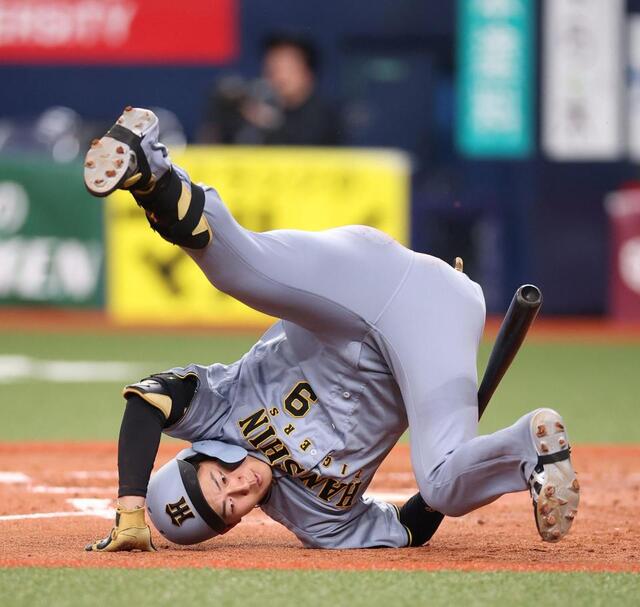 阪神ドラ１・立石がヒヤリ 転倒ぐるり