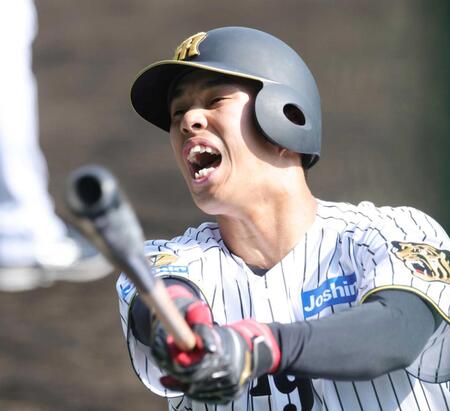 阪神ドラ３岡城“ジョーカー”になる　「使い勝手の良い選手を目指したい」　開幕１軍入り濃厚に