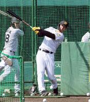 　打撃練習する佐藤輝（撮影・山口登）