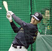 打撃練習をする小幡（撮影・田中太一）