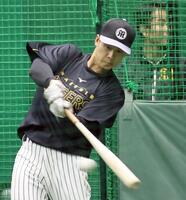 打撃練習をする小幡（撮影・田中太一）