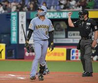 ６回、見逃し三振に口惜しそうな立石（撮影・金居みつよし）