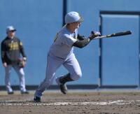 ５回、西純が左前に適時打を放つ（撮影・金居みつよし）