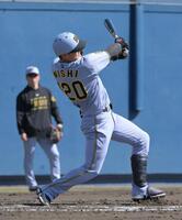 ５回、西純が左前に適時打を放つ（撮影・金居みつよし）