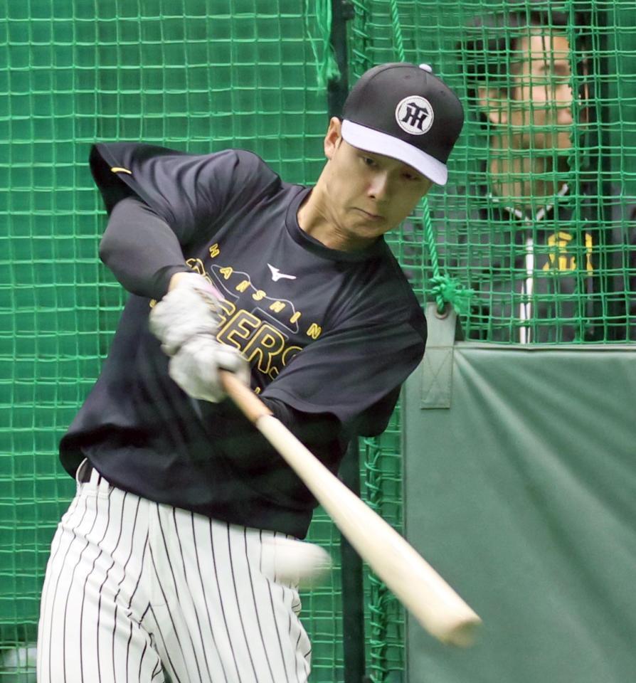 打撃練習をする小幡（撮影・田中太一）