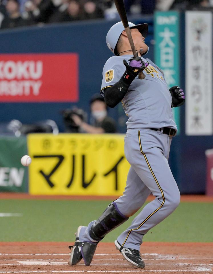 　８回、死球を受ける西純（撮影・金居みつよし）