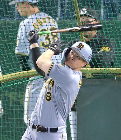 フリー打撃を行う佐藤輝（撮影・西岡正）