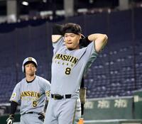 　打撃練習前にウオーミングアップをする佐藤輝（撮影・田中太一）