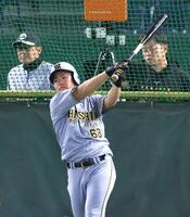 フリー打撃を行う中川（撮影・西岡正）