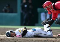 ６回、自打球を受けグラウンドに倒れ込む百崎（撮影・山口登）