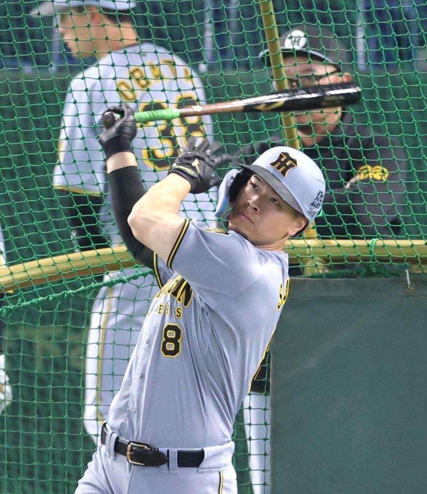 フリー打撃を行う佐藤輝（撮影・西岡正）