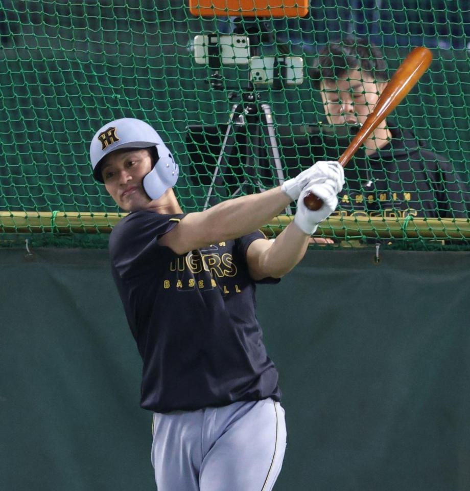 フリー打撃を行う坂本（撮影・西岡正）