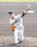 力投する先発の大竹（撮影・西田忠信）