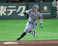 ６回、二塁打を放つ佐藤輝（撮影・金田祐二）