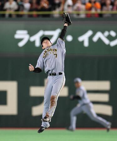 　１回、松本の打球を好捕する中野（撮影・田中太一）