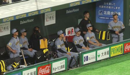 ７回、泉口のソロを見つめる阪神ベンチ（撮影・佐々木彰尚）
